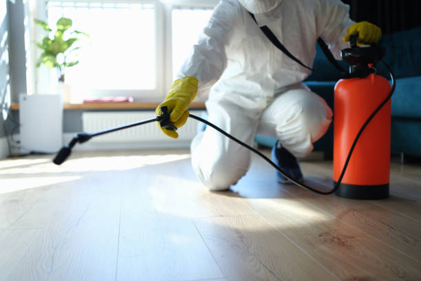 Reliable Odor Removal contractor in Clinton, IL by Trauma Clean Pros